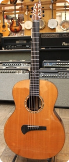 Tanglewood Tsr 1 Masterdesign By Michael Sandén