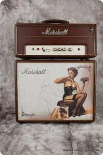 Marshall C5 Top And Cabinet 2013 Brown