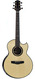 Kevin Ryan Nightingale Grand Soloist Ziricote Mastergrade Engelman Spruce