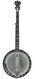 Deering Sierra 5 String Banjo Recent