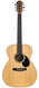 Stevens 000-P Shortscale Curly Indian Rosewood Bearclaw Spruce Recent