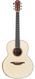 Lowden F50 Sinker Rosewood Alpine Spruce Winter Edition 2021