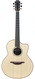 Lowden F35c Madagascar Rosewood Alpine Spruce