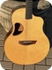 Mcpherson Guitars MG-3.5 2010-Black Acacia