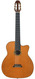 Scharpach Theo SE101 Gypsy Nylon Fusion 1988