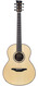 Mcilroy AS57 Cocobolo Adirondack Spruce 1270