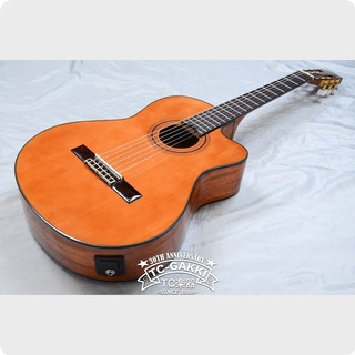 Aria Aria：アリア A 35CE 2010 Guitar For Sale TCGAKKI