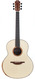 Lowden F50 Sinker Rosewood Alpine Spruce Winter Edition B Stock 2021