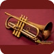 Pujé Trumpets Puje The Pujé V-4 B ♭ Trumpet 2022