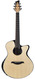 Febo Waanders Waanders Grand Fingerstyle Madagascar Rosewood Italian Spruce Recent