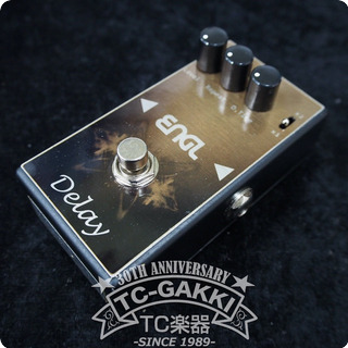 Engl Engl：delay Dm 60 2010