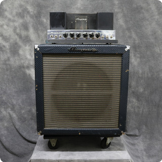 Ampeg B15 Na 1963 Blue Check Tolex