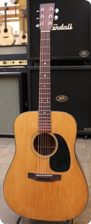 Martin 1976 D 18 1976