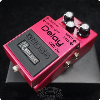 Boss : DM 2W Delay (技WAZA CRAFT/JAPAN) 2021 0 Effect For