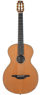 Mcnally Model P Cedar Rosewood 2012