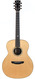 Goodall RCJ Engelmann Spruce Indian Rosewood 2002