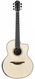 Lowden Pierre Bensusan Signature Model Honduras Rosewood Adirondack