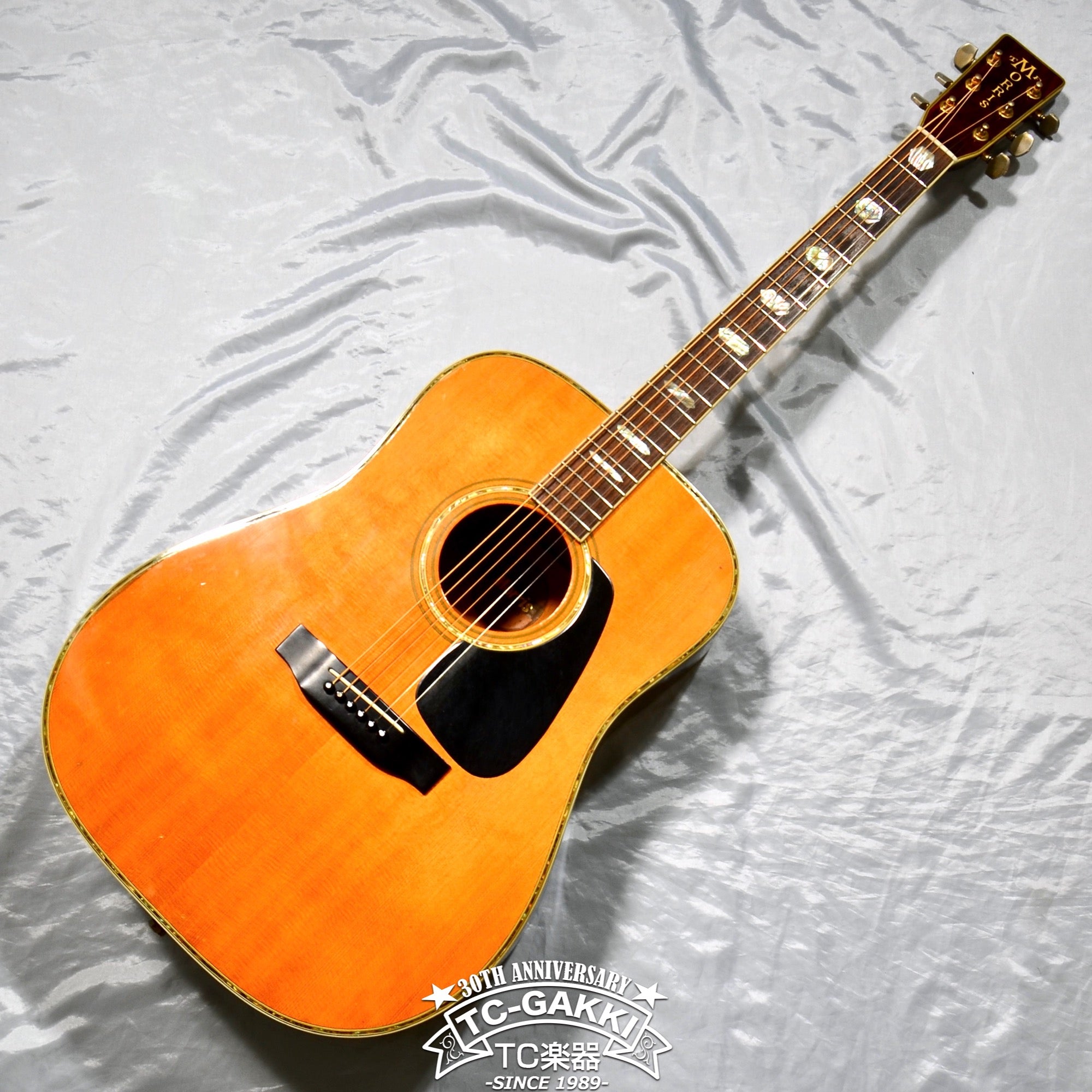 高品質新品〇 Morris TF-805 アコースティックギター アコギ ハカランダ ヴィンテージ モーリス モーリス