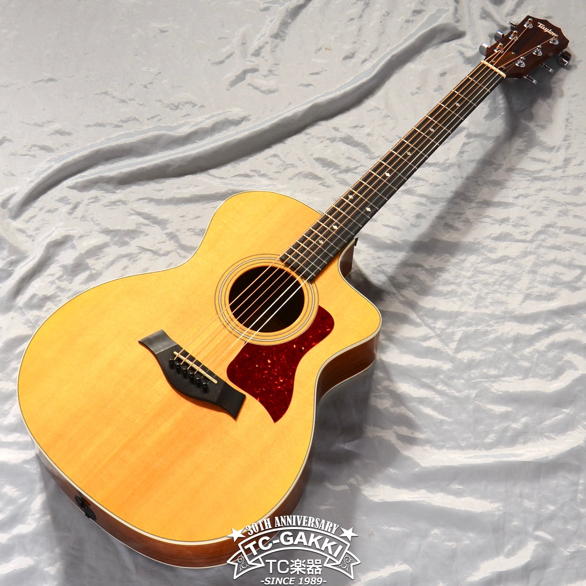 2015年製 Taylor 214CE ES-T | fpfs.com.py