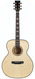 BSG GA23F Custom Deluxe Olive Spruce