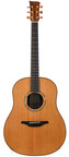 Mcilroy AD60 Spruce Koa 2010