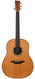 Mcilroy AD60 Spruce Koa 2010