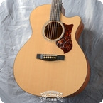 Martin GPCPA3 Sapele 2012