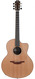 Lowden Richard Thompson F35RT Ziricote Cedar #25597