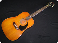 Gibson Jubilee 1969 Natural
