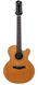 Santa Cruz F12 27 12 String 1981