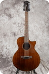 Ibanez-AE2912-LGS-2020-Natural