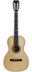 BSG P27F Parlor Rosewood Spruce