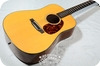 Martin 12 D 18V 2012