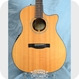 Fender GA45SCE 2010