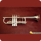 Brasspire Unicorn Brass Pire Unicorn BPTRC 1000s New C Tube Trumpet 2020