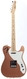 Fender Telecaster Thinline F-Hole 2021-Penny Mist Metallic