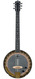 Deering Phoenix 6 String Banjo Brass A/E 2021