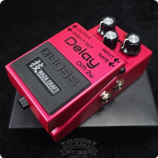 Boss Dm 2w Delay (技waza Craft) 2015