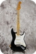 Fender Stratocaster 2010-Black