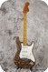 Fender Stratocaster Rhinestone Bronze