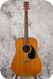 Martin D-19 1979-Dark Stained Natural