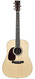 Martin D16E Rosewood Lefty