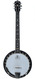 Deering Boston 6-String Banjo