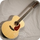 Martin 2021 Grand J-16E 12 String 2021