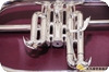 Brasspire Unicorn Brass Pire Unicorn Bpfg 850ss (new) Flugelhorn 2022