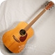 Martin 2008 DX1 2008