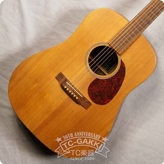 Martin 2008 Dx1 2008