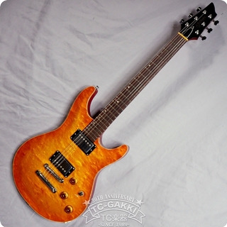 Fujigen(fgn) 2006 Ad 2006