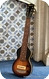 Gibson EH-100 1939-Sunburst