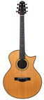 Eichelbaum Grand Auditorium Cutaway Rosewood Spruce Recent